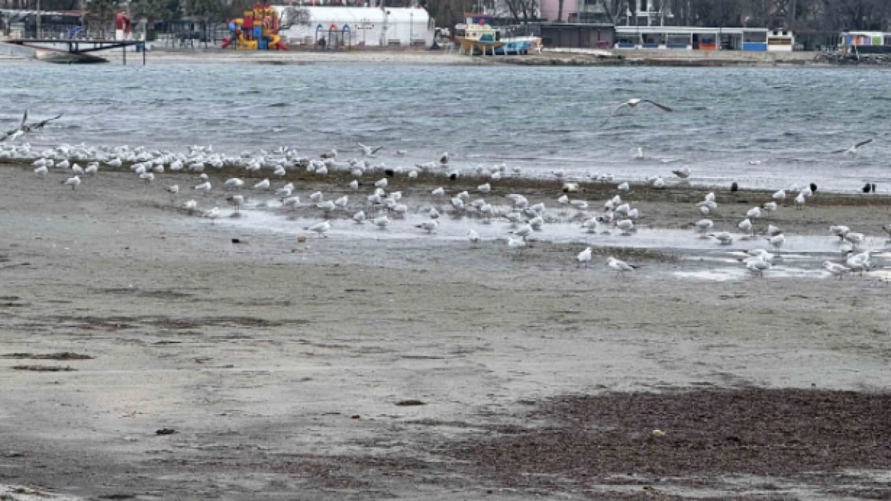 Foto - Marmara Denizi'nde korkutan manzara