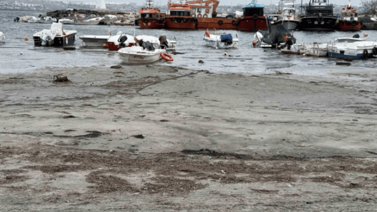 Foto - Marmara Denizi'nde korkutan manzara