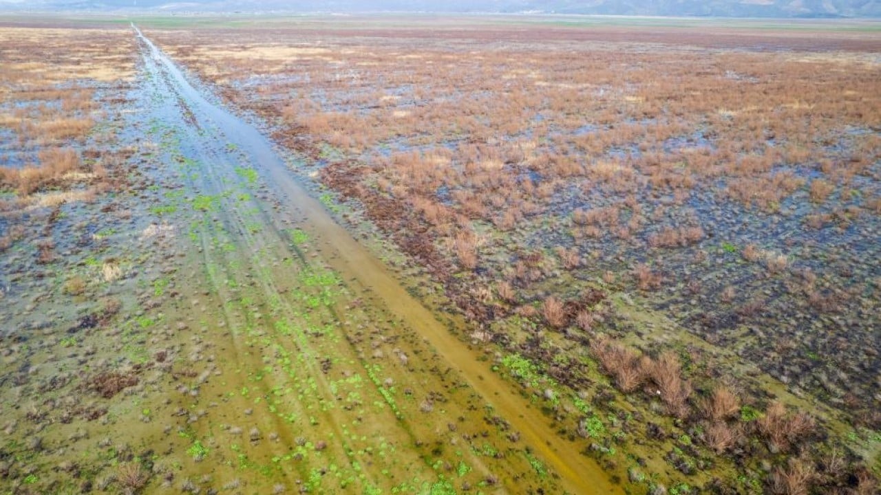 Foto - Marmara Gölü'nde umut veren görüntü