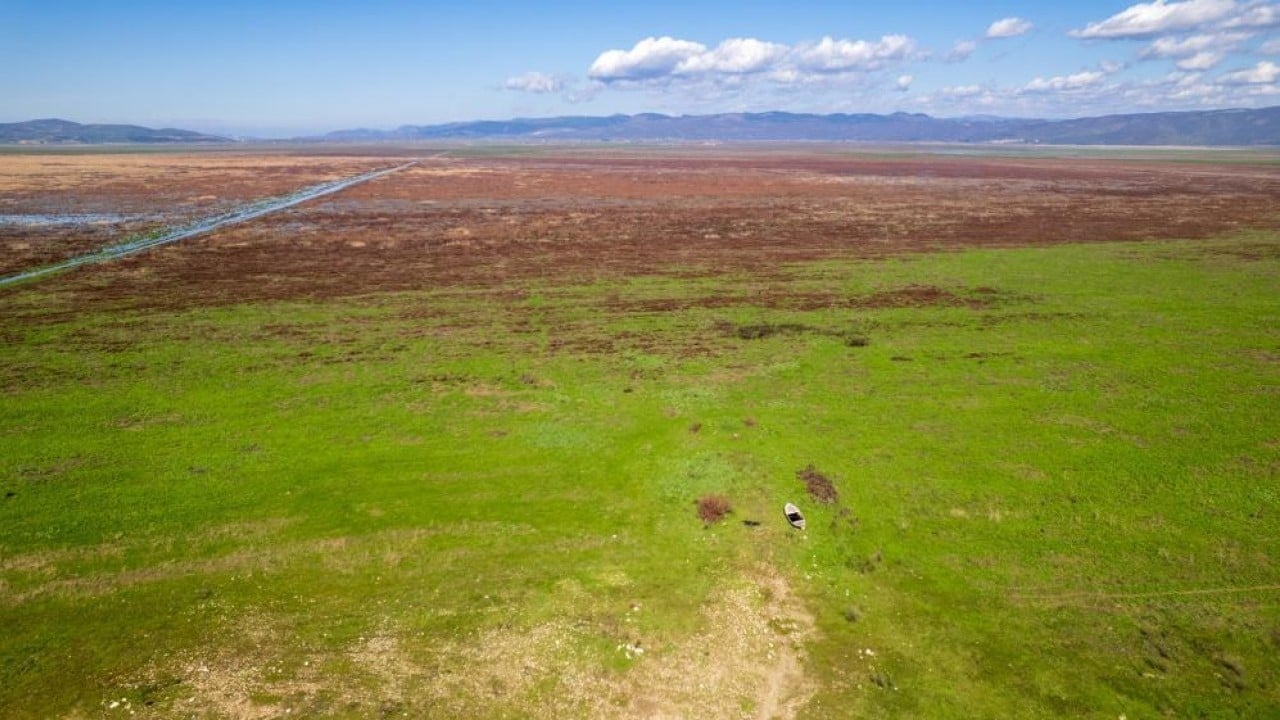 Foto - Marmara Gölü'nde umut veren görüntü