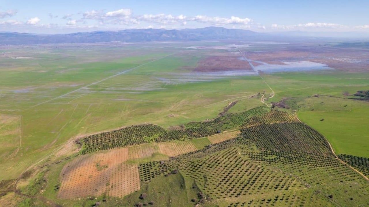 Foto - Marmara Gölü'nde umut veren görüntü