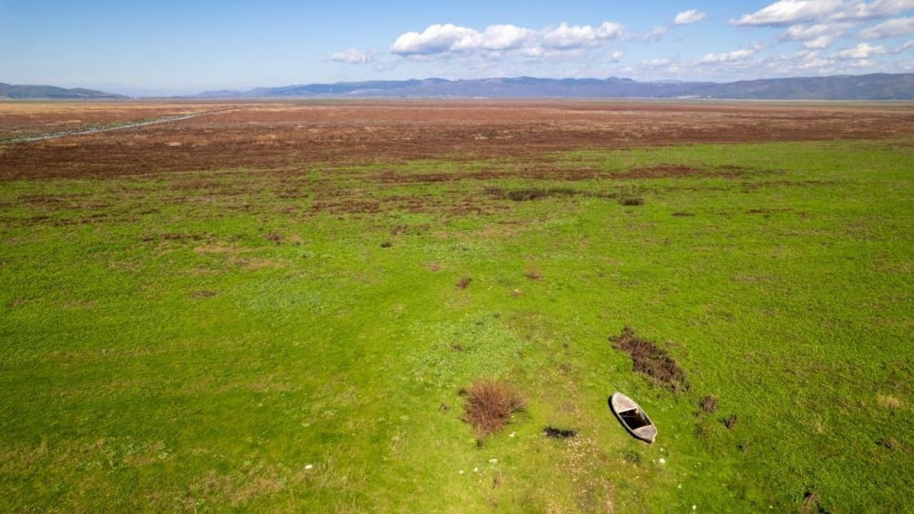 Marmara Gölü'nde umut veren görüntü