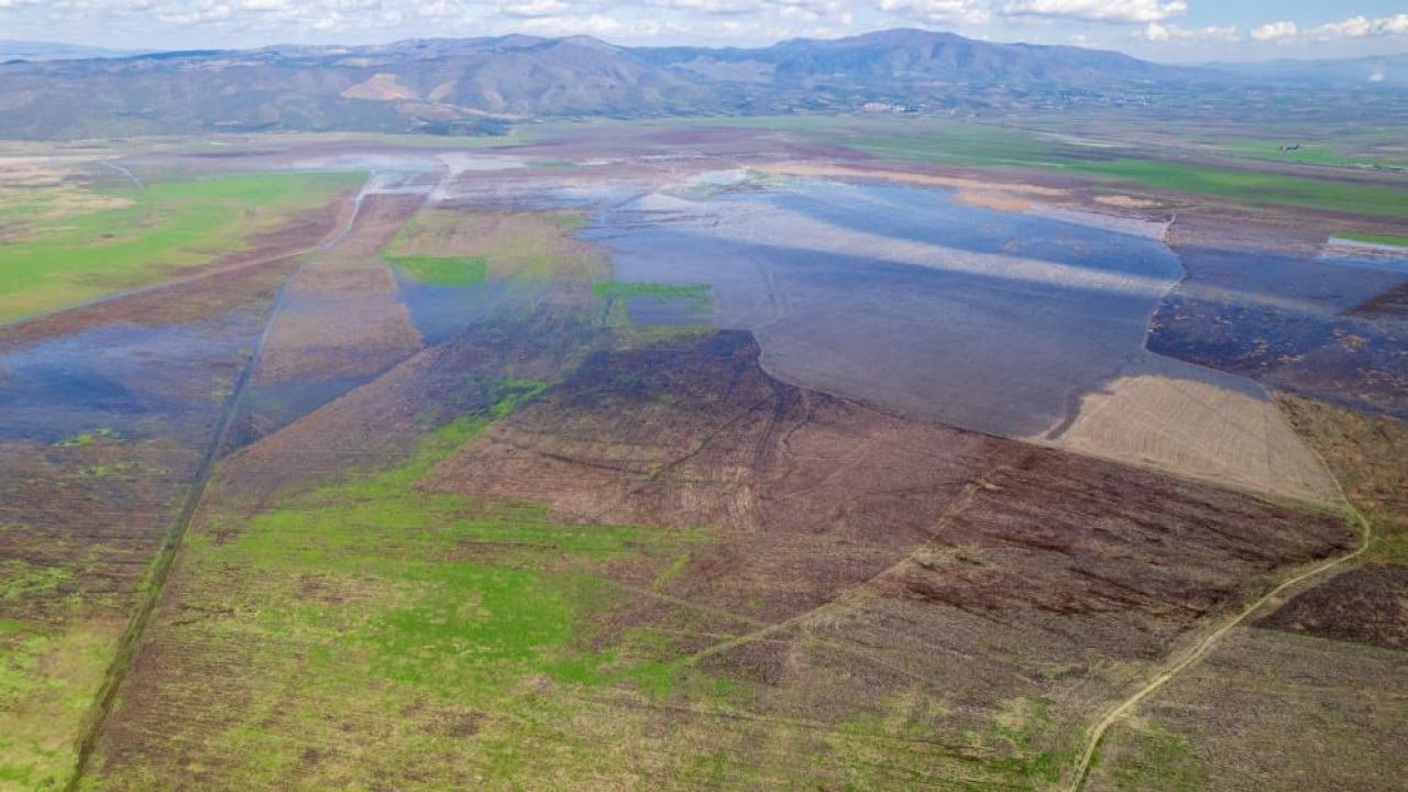 Foto - Marmara Gölü'nde umut veren görüntü