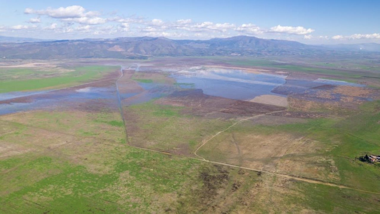 Foto - Marmara Gölü'nde umut veren görüntü