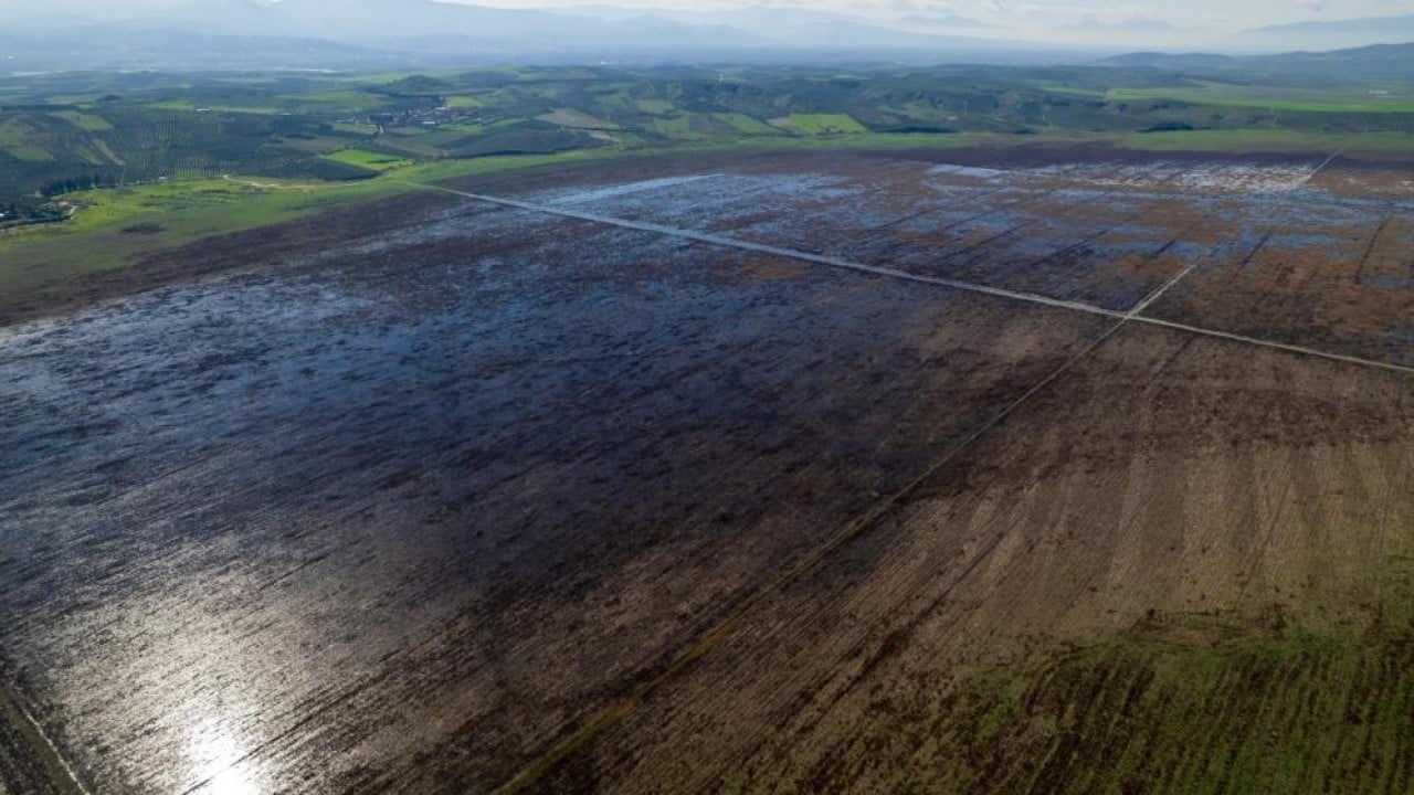 Foto - Marmara Gölü'nde umut veren görüntü