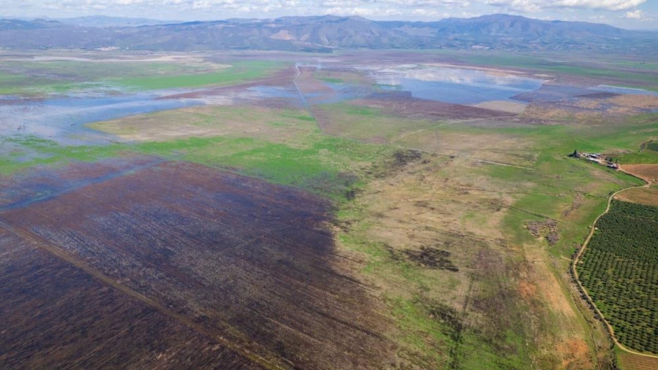 Foto - Marmara Gölü'nde umut veren görüntü