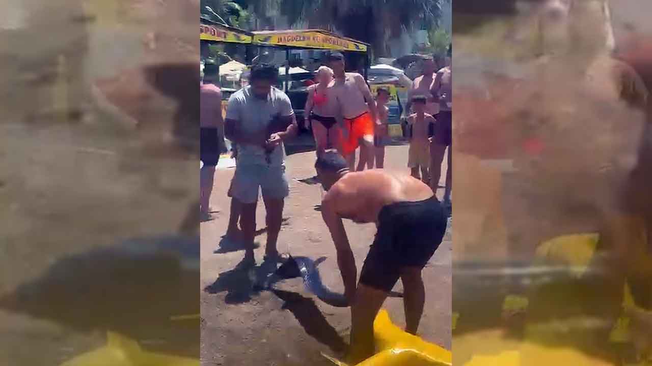 Foto - Marmaris'te pes dedirten görüntü! Denizde yüzen kılıç balığını kuyruğundan tutup karaya çıkardı!