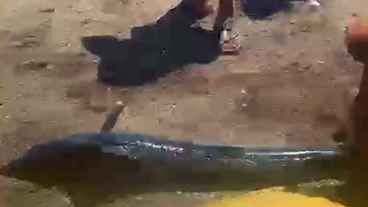 Foto - Marmaris'te pes dedirten görüntü! Denizde yüzen kılıç balığını kuyruğundan tutup karaya çıkardı!