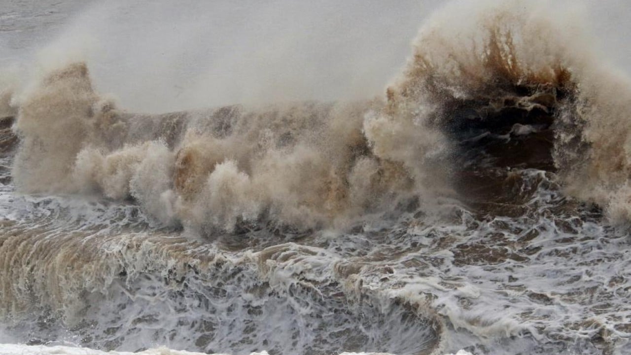 Foto - Martılar balık peşinde define avcıları hazine peşinde