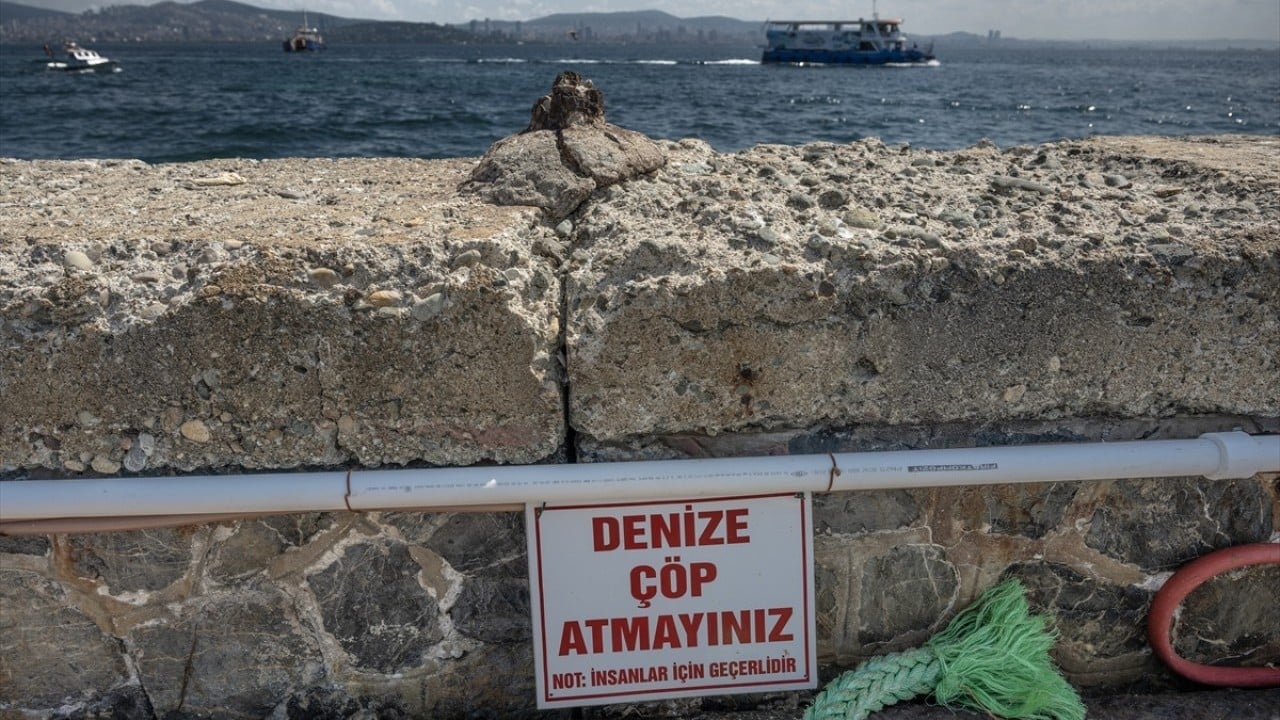 Foto - Martıların ürkütücü ‘strafor avı’ Deniz ve kuşlar tehdit altında