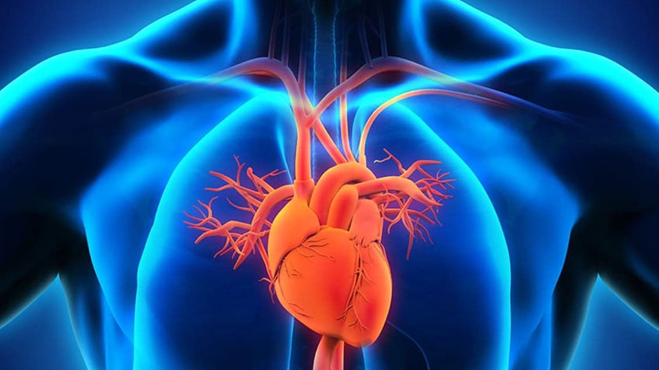 Foto - Masa başı çalışanlar dikkat! Bu belirtilere sahipseniz hemen harekete geçin