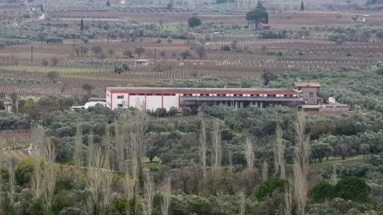 Foto - MASAK raporunda dikkat çeken iddia: Haluk Levent'in şarap fabrikası ortaklığı mercek altında