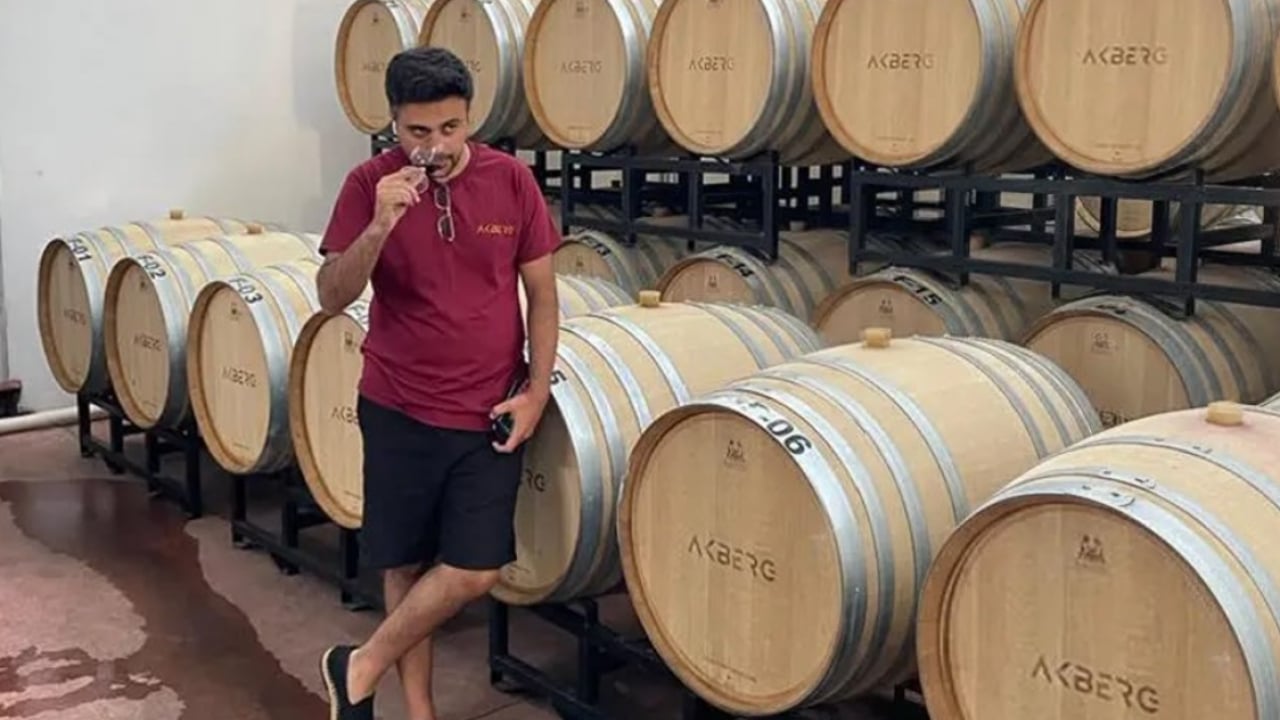 Foto - MASAK raporunda dikkat çeken iddia: Haluk Levent'in şarap fabrikası ortaklığı mercek altında