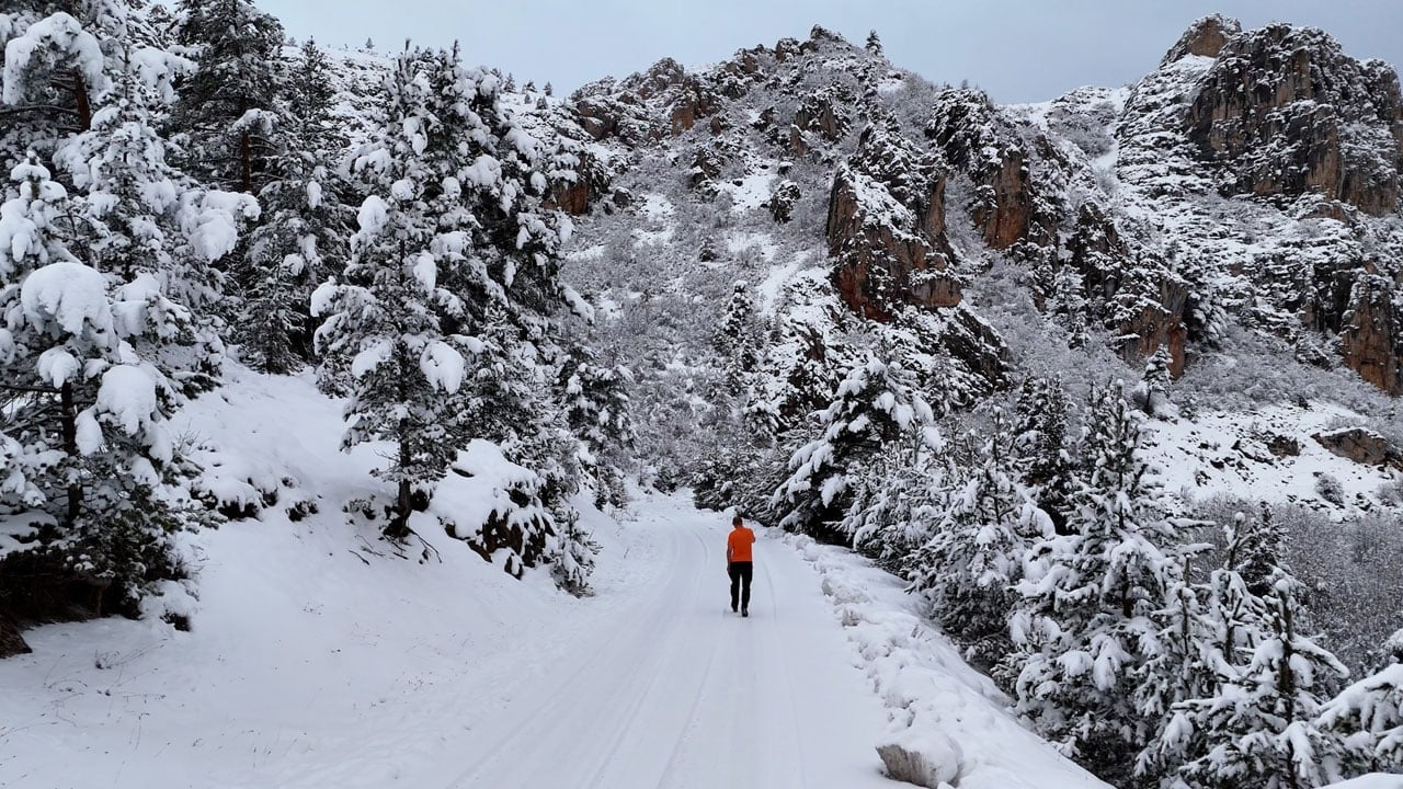 Foto - Masalsı manzara! Gümüşhane’de kar ve sis bir arada görüntülendi