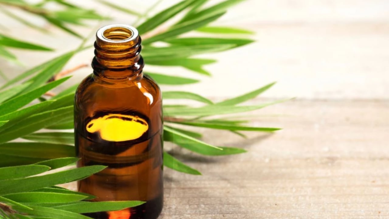 Foto - Maske ve krem devri kapanıyor! Yüzünüzde çıkan sivilcelerden kurtulmanın doğal yolu