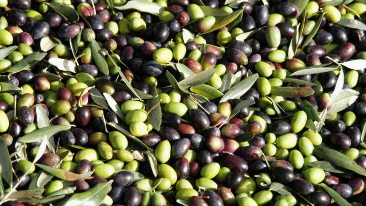 Foto - Masum sanılıyor ama ölçüsü önemli! Her gün yiyenlerin bilmesi gereken o ayrıntı