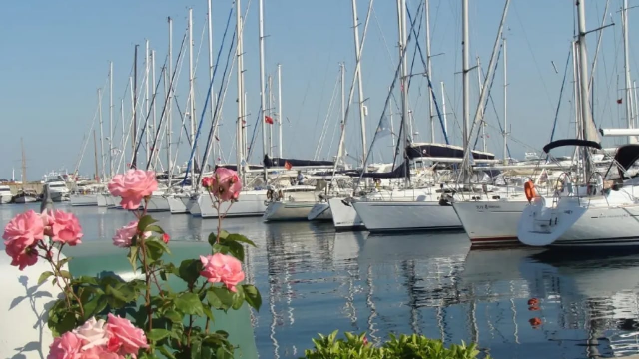 Foto - Mavi bayraklı plajlar belli oldu! İstanbul'dan 3 plaj listeye girdi!