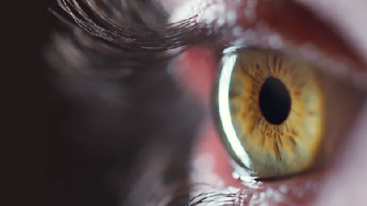 Foto - Mavi sanıyorduk ama gerçekten yanılmışız! Bilim insanları en az rastlanan göz rengini belirledi