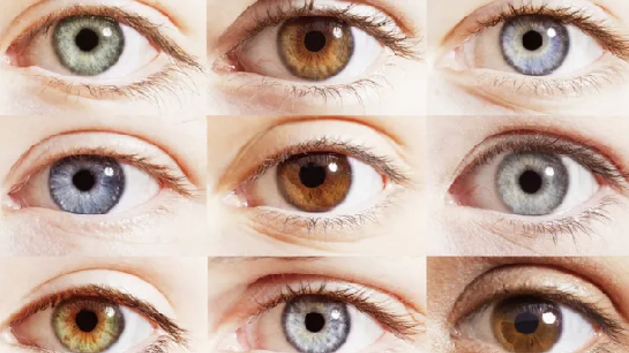 Foto - Mavi sanıyorduk ama gerçekten yanılmışız! Bilim insanları en az rastlanan göz rengini belirledi