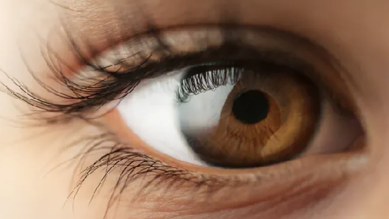 Foto - Mavi sanıyorduk ama gerçekten yanılmışız! Bilim insanları en az rastlanan göz rengini belirledi