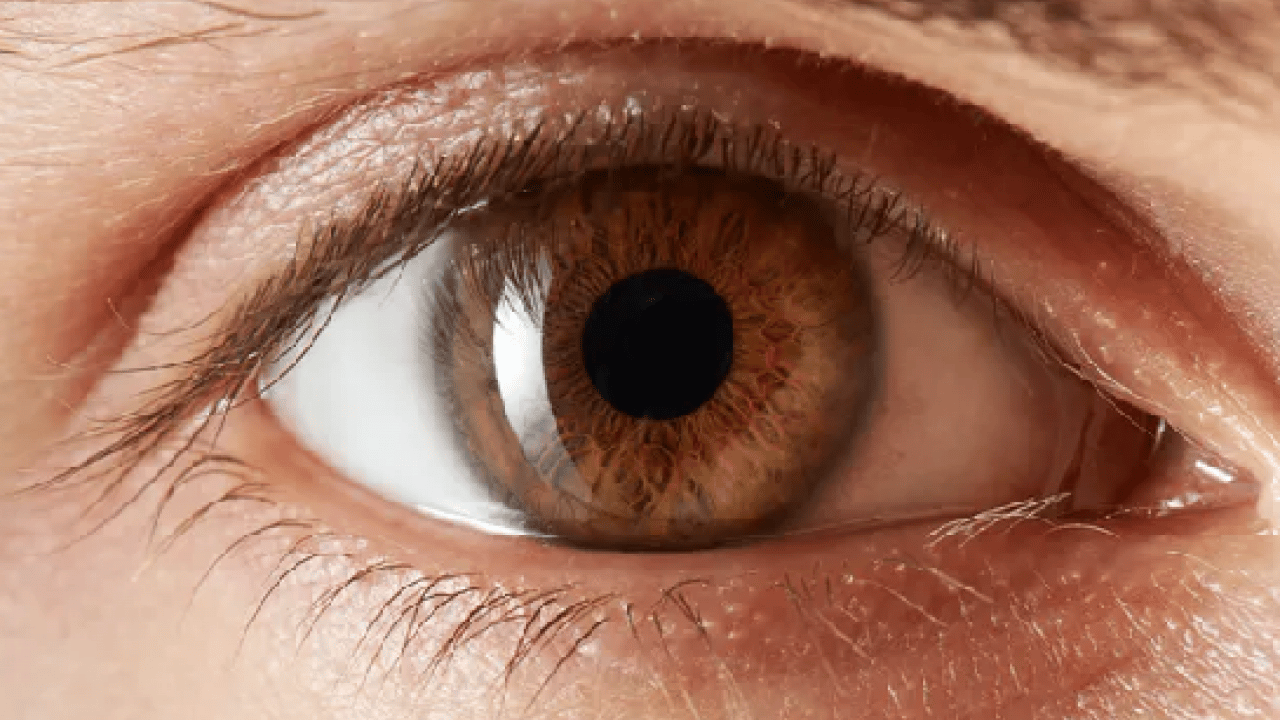 Foto - Mavi sanıyorduk ama gerçekten yanılmışız! Bilim insanları en az rastlanan göz rengini belirledi