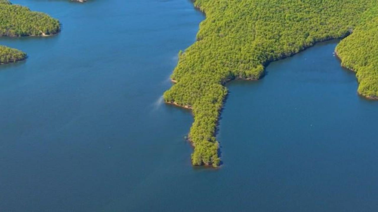 Foto - Mavi ve yeşilin muazzam buluşması dronla görüntülendi! İstanbul’un can damarı Ömerli Barajı’ndaki doluluk oranı yüzleri güldürdü!