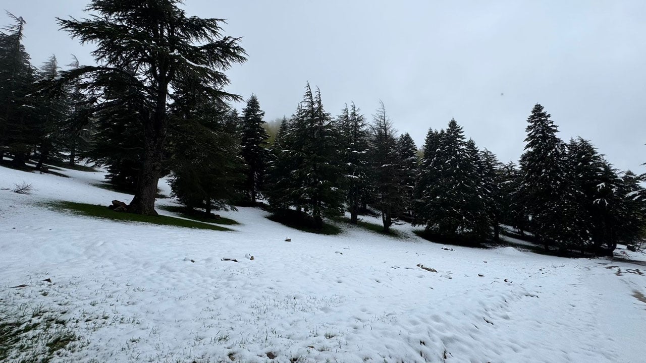Foto - Mayıs ayında kıştan kalma görüntü! Huzurlu Yaylası’nda kar kalınlığı 10 santimetreye ulaştı