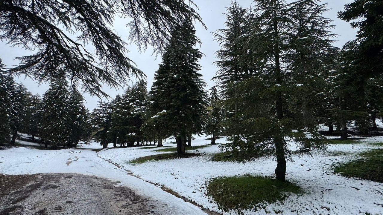 Foto - Mayıs ayında kıştan kalma görüntü! Huzurlu Yaylası’nda kar kalınlığı 10 santimetreye ulaştı