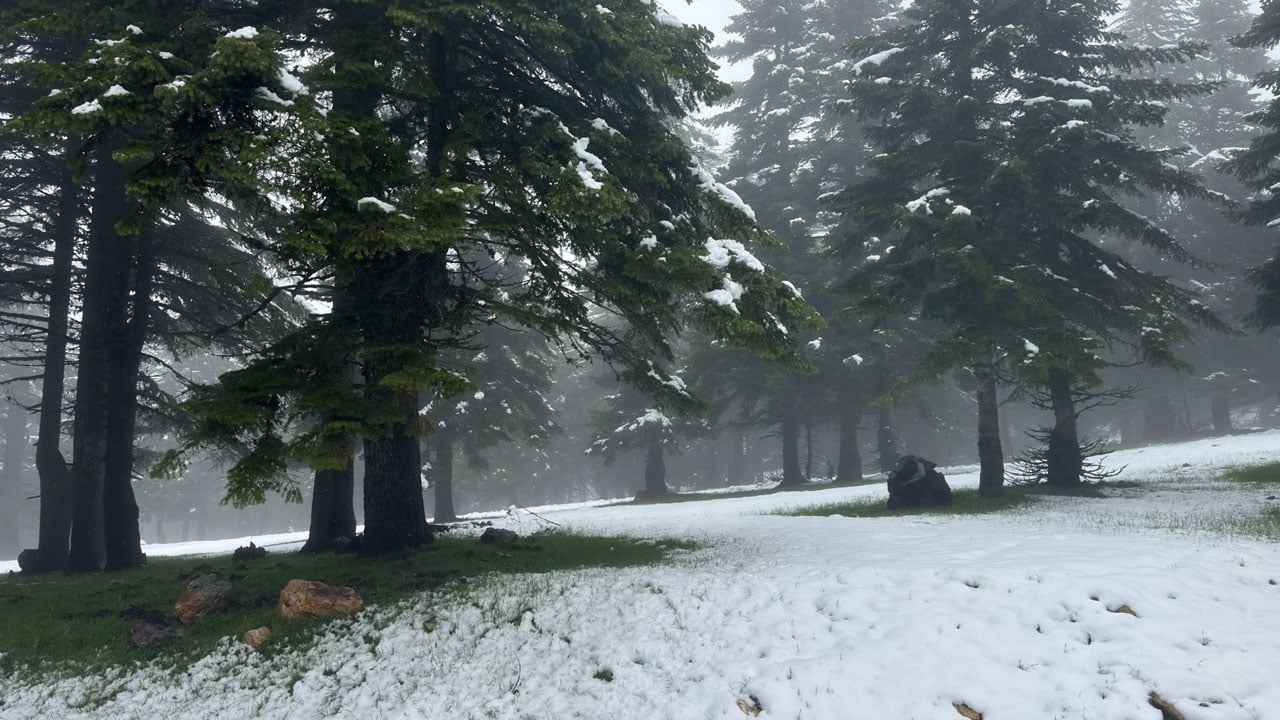 Foto - Mayıs ayında kıştan kalma görüntü! Huzurlu Yaylası’nda kar kalınlığı 10 santimetreye ulaştı