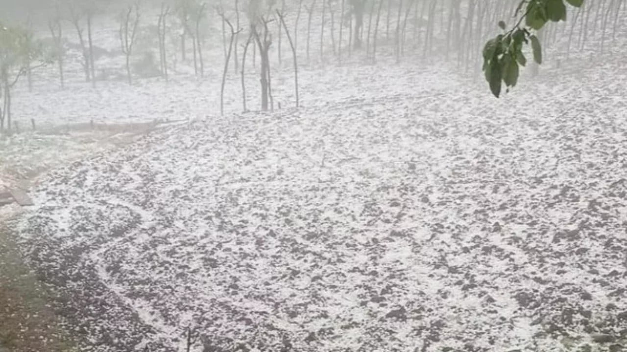 Foto - Mayıs ve haziranda zirve yapıyor Doluya karşı şimdiden tedbirinizi alın