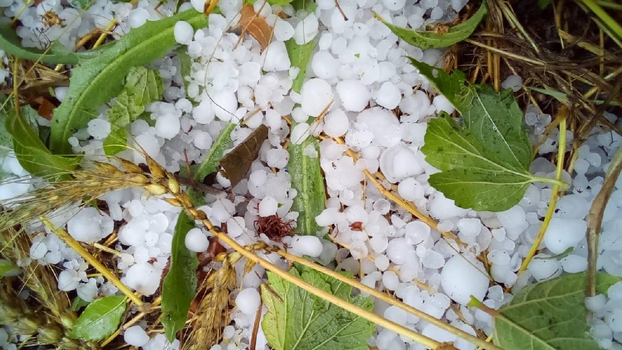 Foto - Mayıs ve haziranda zirve yapıyor Doluya karşı şimdiden tedbirinizi alın