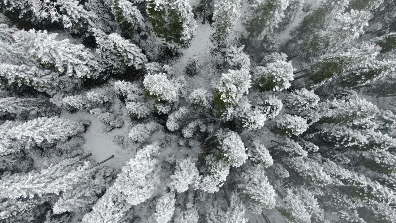 Foto - Mayıs'ta kar sürprizi! Kartpostallık görüntüler
