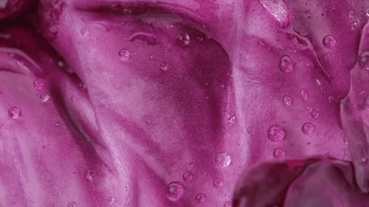 Foto - Meğer asıl kolajen takviyesi o sebzeymiş! Doğanın en güçlü besini üstelik...