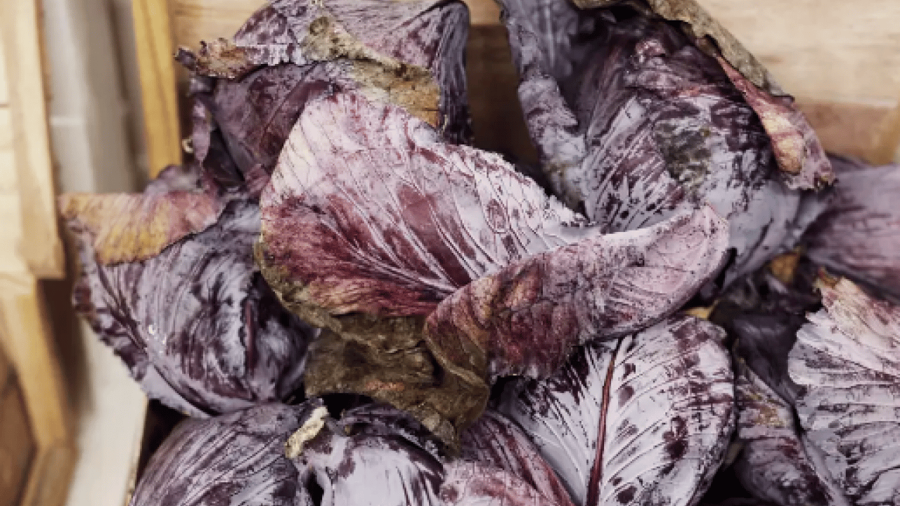 Foto - Meğer asıl kolajen takviyesi o sebzeymiş! Doğanın en güçlü besini üstelik...