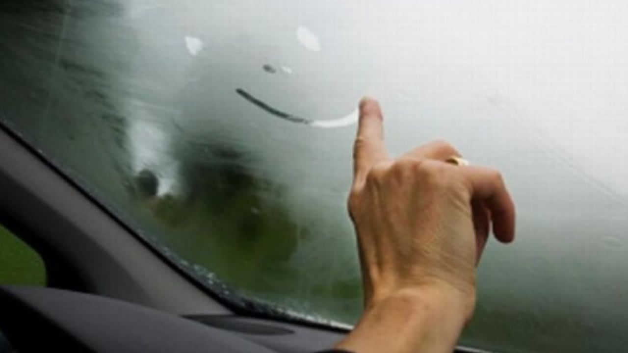 Foto - Meğer bu kadar kolaymış: Arabaya iki dilim koyun buğudan kurtulun!