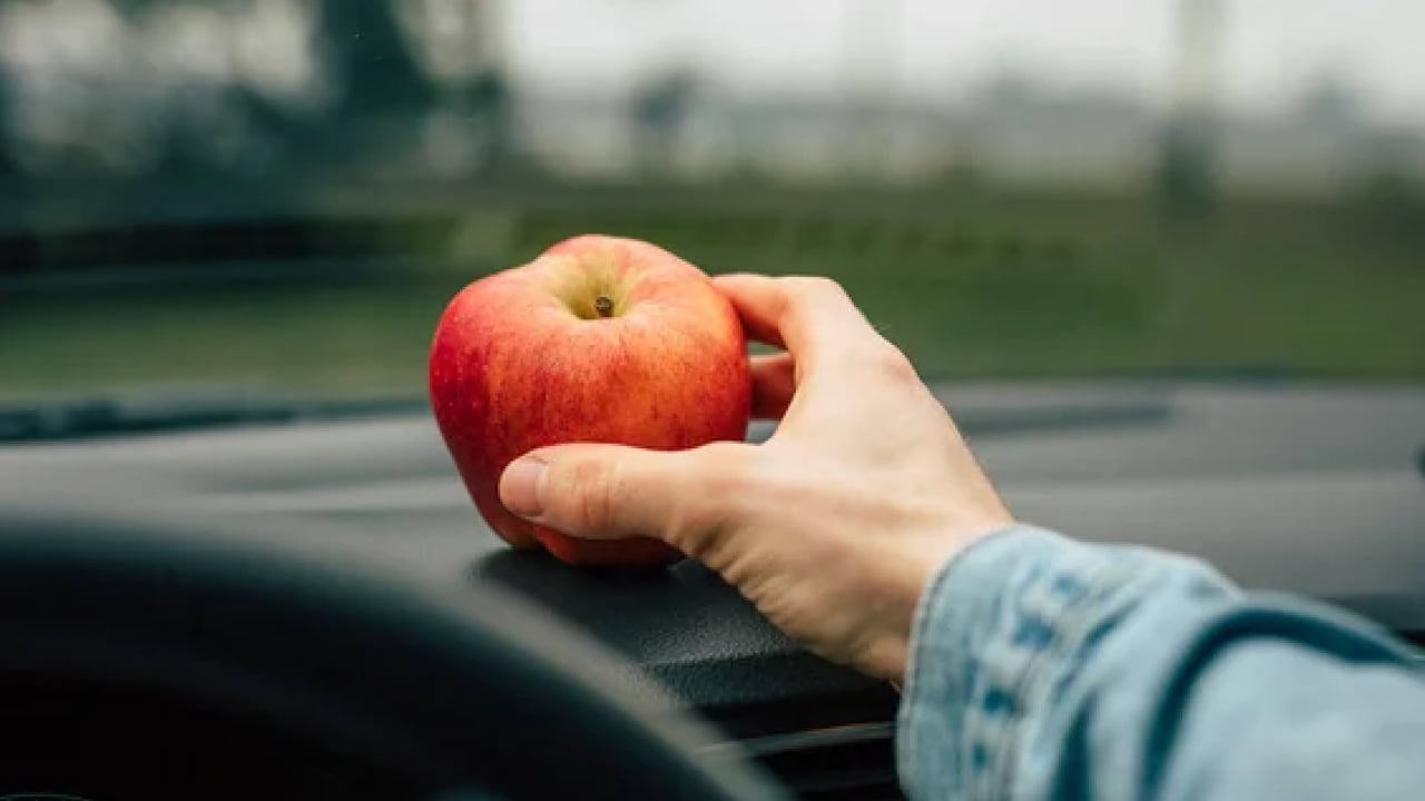 Foto - Meğer bu kadar kolaymış: Arabaya iki dilim koyun buğudan kurtulun!