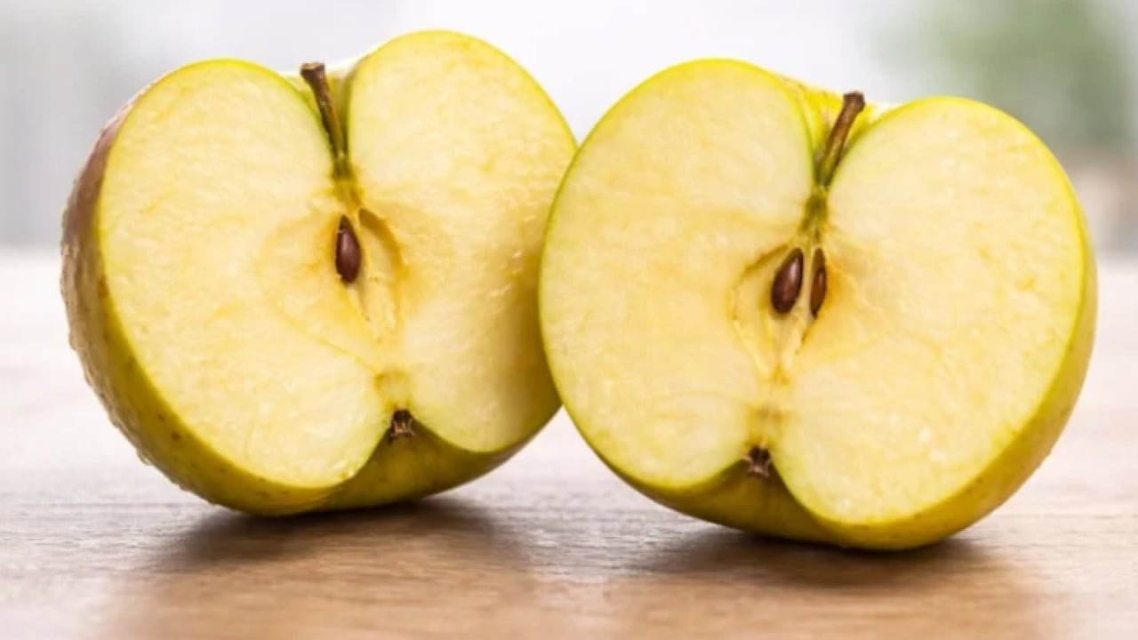 Meğer bu kadar kolaymış: Arabaya iki dilim koyun buğudan kurtulun!