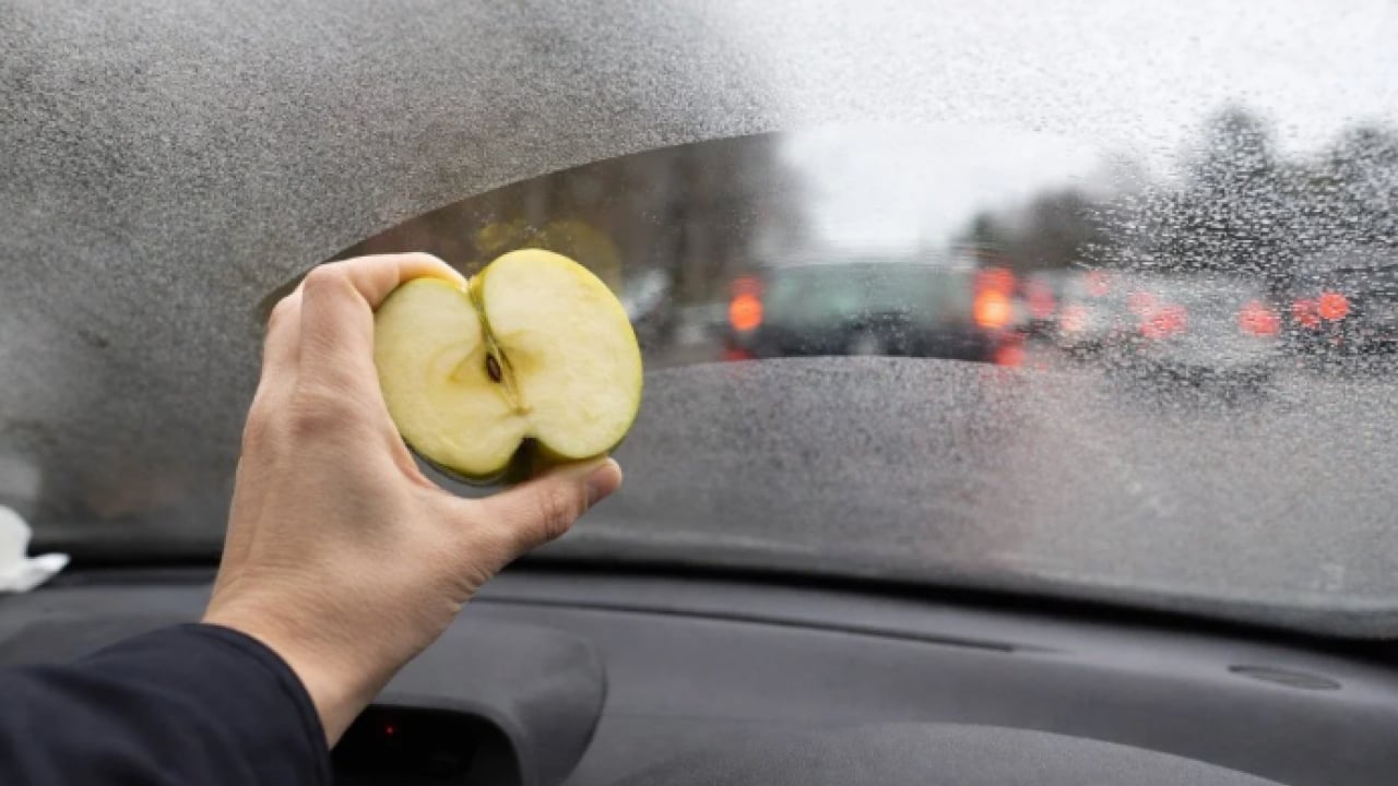 Foto - Meğer bu kadar kolaymış: Arabaya iki dilim koyun buğudan kurtulun!