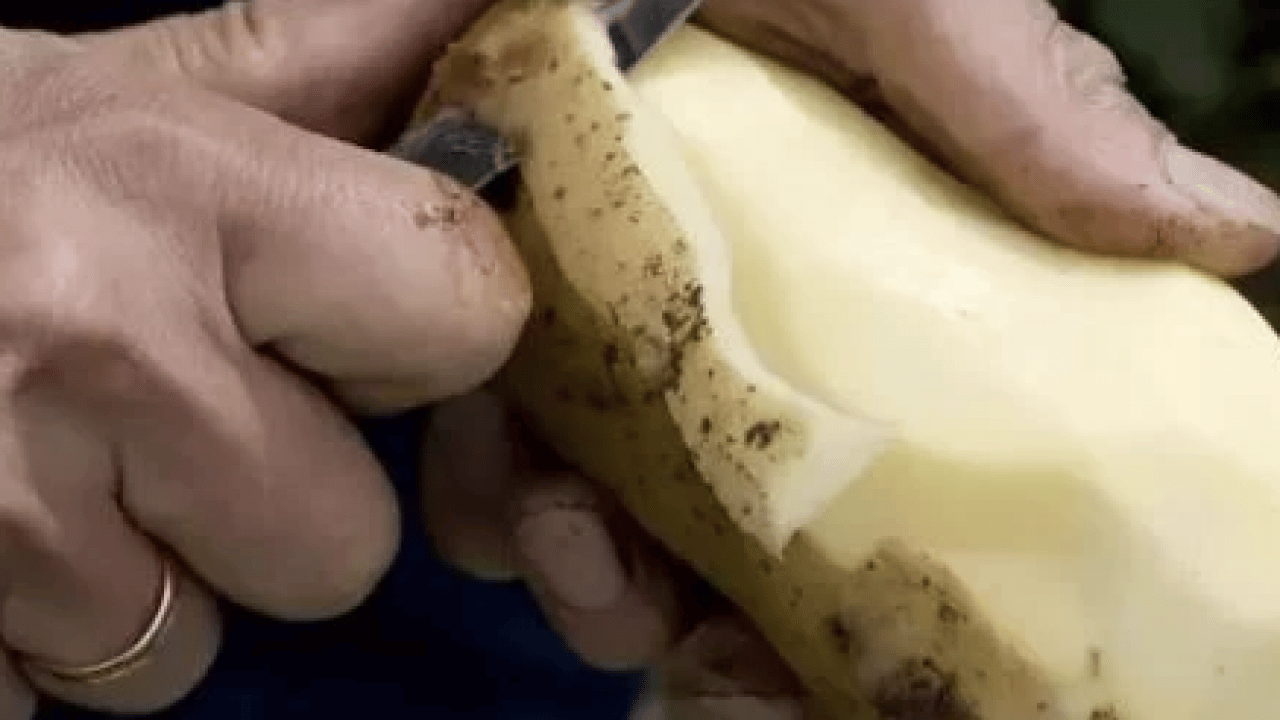 Foto - Meğer ne kadar zararlıymış! Patates hakkında bildiklerinizi unutun: Herkes tüketiyor ama...