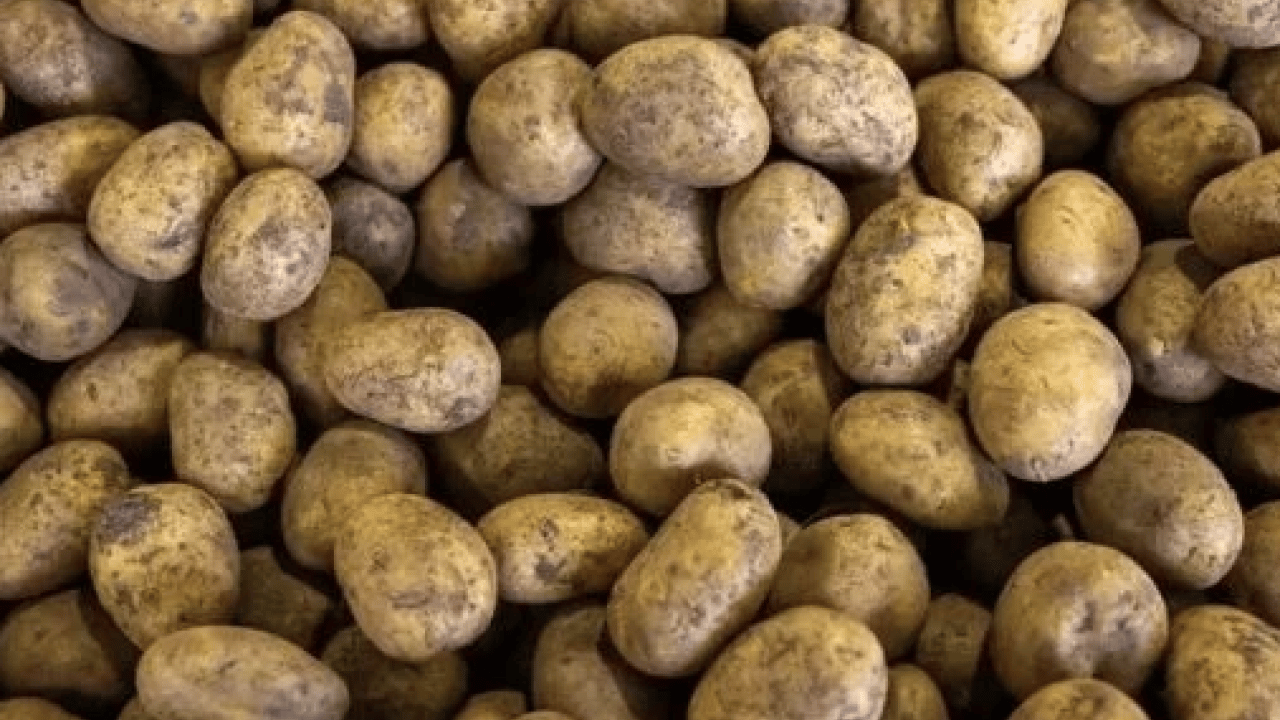 Foto - Meğer ne kadar zararlıymış! Patates hakkında bildiklerinizi unutun: Herkes tüketiyor ama...