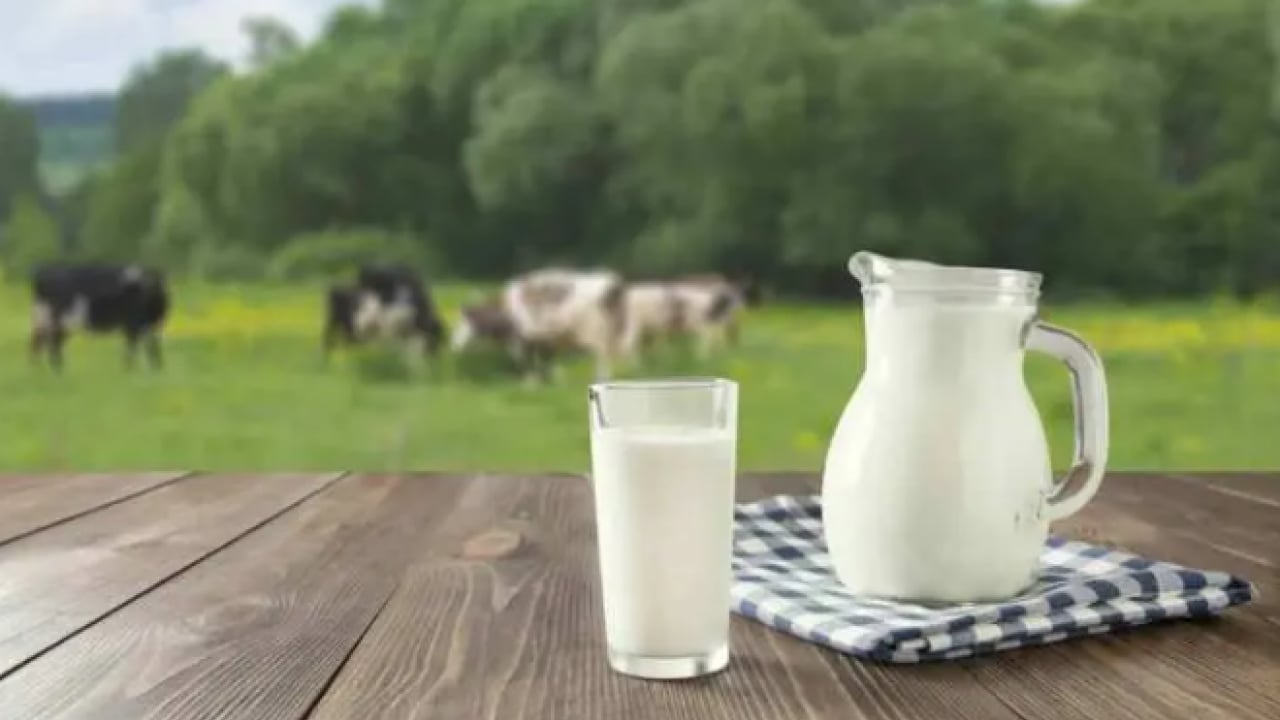 Foto - Meğer yıllardır yanlış biliyormuşuz: İşte sindirim sistemi için en faydalısı!