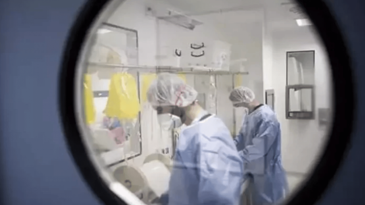 Foto - Melanom hastalarının... Bağırsak bakterilerinin kanser ile ilişkisi ortaya çıktı