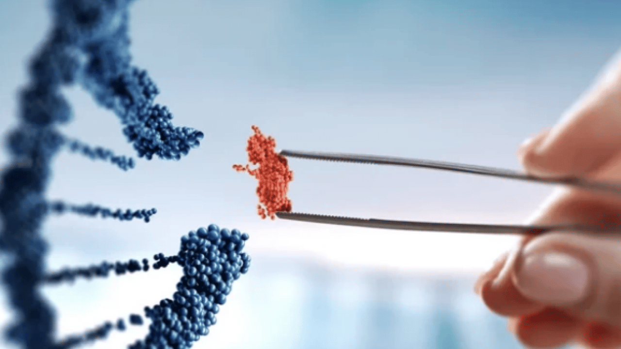 Foto - Melanom hastalarının... Bağırsak bakterilerinin kanser ile ilişkisi ortaya çıktı