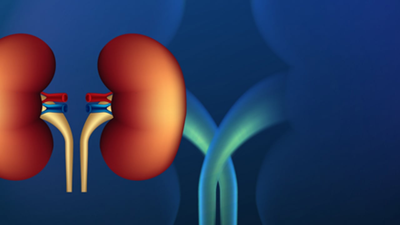 Foto - Melih Kara: Böbrek üstüne ait bezde tehlike olabilir! Mide bulantısı gibi çok sayıda belirti var diyerek duyurdu