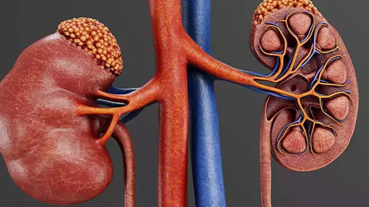 Melih Kara: Böbrek üstüne ait bezde tehlike olabilir! Mide bulantısı gibi çok sayıda belirti var diyerek duyurdu