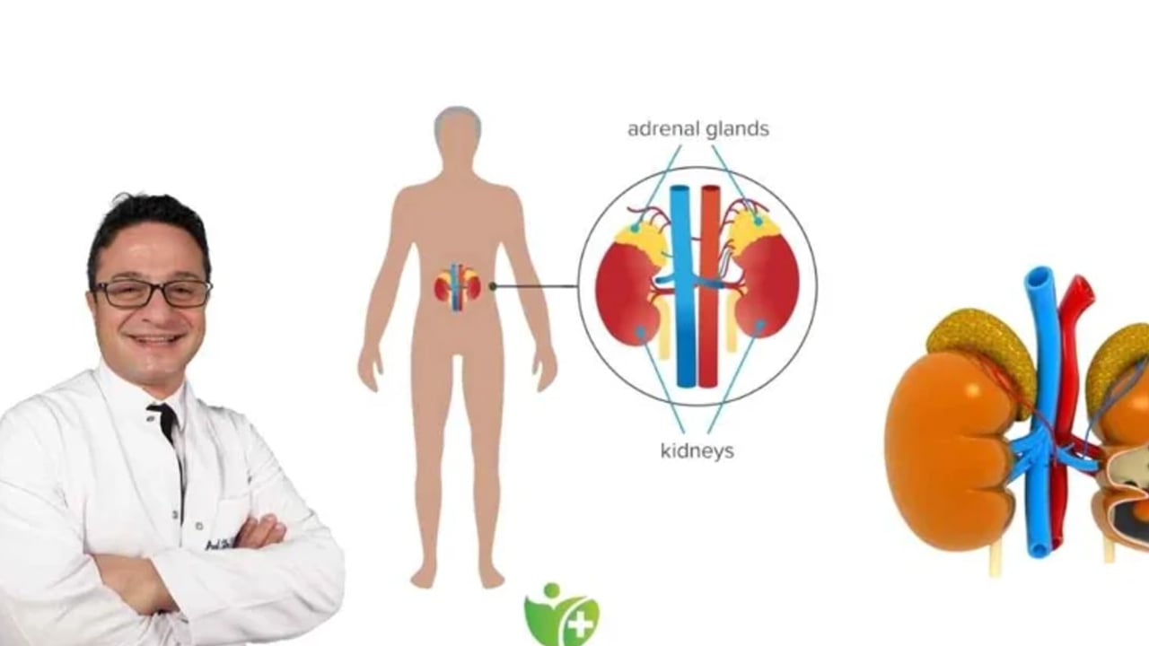 Foto - Melih Kara: Böbrek üstüne ait bezde tehlike olabilir! Mide bulantısı gibi çok sayıda belirti var diyerek duyurdu