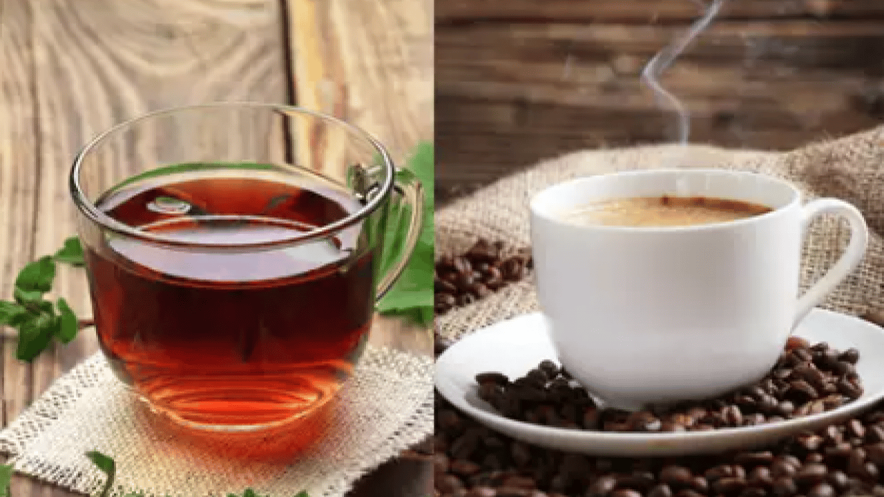Foto - Merak edilen sorunun cevabı belli oldu: Çay mı kahve mi daha yararlı?