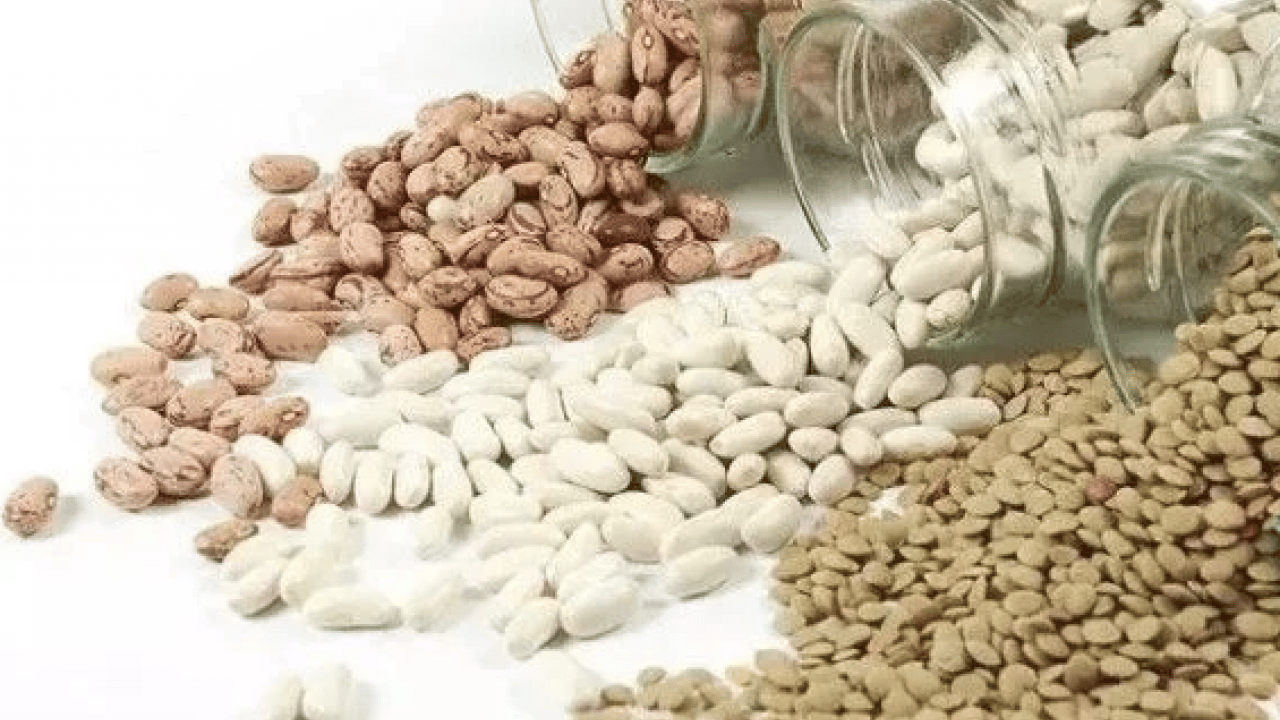 Foto - Mercimek, nohut ve daha neler neler... Böceklenme tarih oluyor: Bakliyatları bu şekilde...