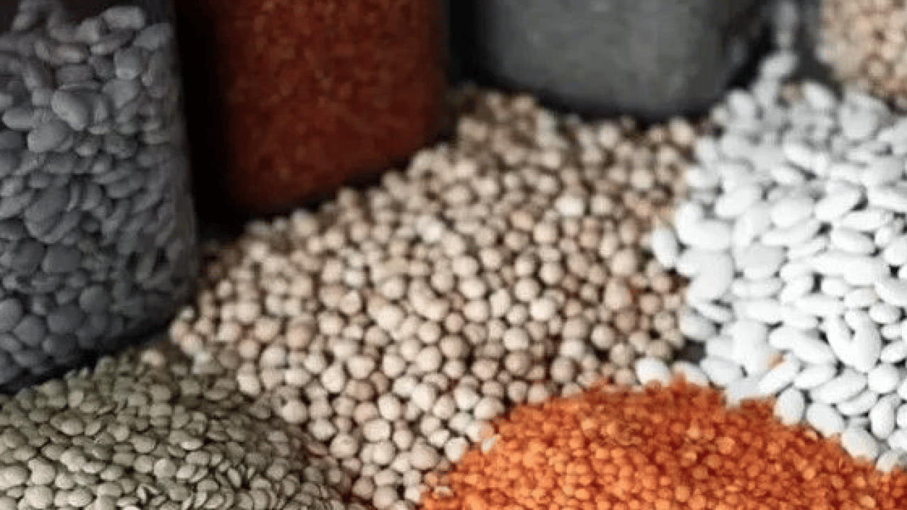 Foto - Mercimek, nohut ve daha neler neler... Böceklenme tarih oluyor: Bakliyatları bu şekilde...