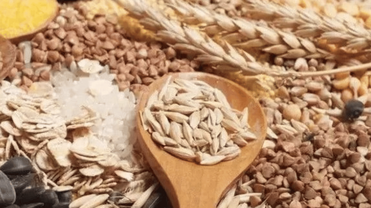 Foto - Mercimek, nohut ve daha neler neler... Böceklenme tarih oluyor: Bakliyatları bu şekilde...